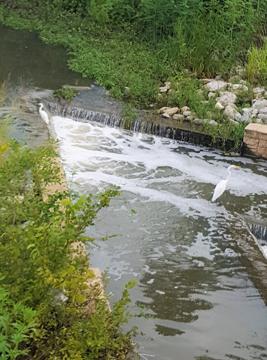 Park «Richard Greene Linear Park», reviews and photos, 1601 E Randol Mill Rd, Arlington, TX 76011, USA