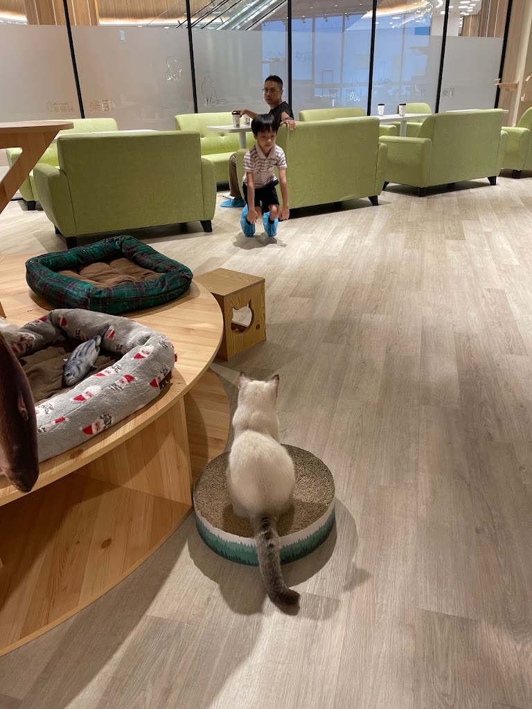 貓樂貓咖啡 LaLaport 台中店 的照片