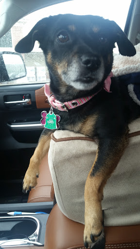 Supermarket «Publix Super Market at Seven Hills Station», reviews and photos, 80 Seven Hills Blvd, Dallas, GA 30132, USA