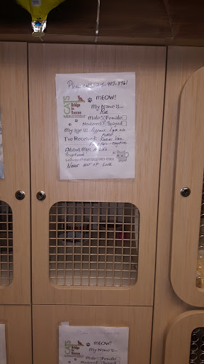 Pet Supply Store «Petco Animal Supplies», reviews and photos, 97 E Street Rd, Feasterville-Trevose, PA 19053, USA