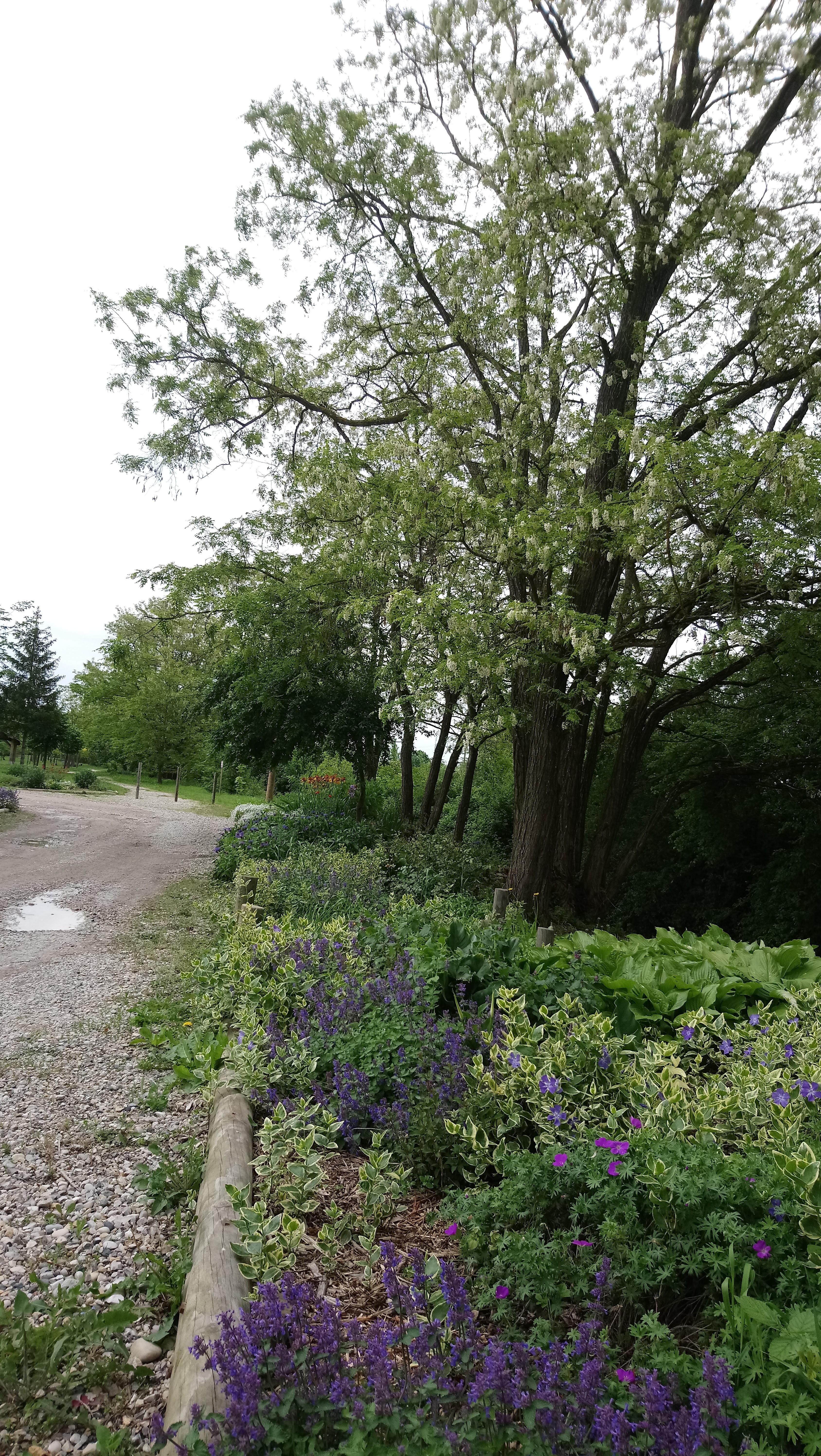 Photo n° 1 de l'avis de Marie-Jean.h fait le 25/06/2018 à 09:51