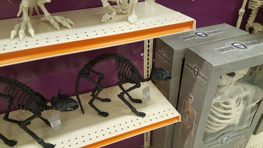 Fabric Store «Jo-Ann Fabrics and Crafts», reviews and photos, 11215 Causeway Blvd, Brandon, FL 33511, USA