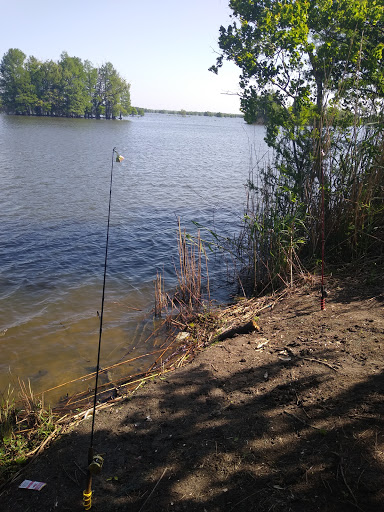 Park «Sheldon Lake State Park and Environmental Learning Center», reviews and photos, 14140 Garrett Rd, Houston, TX 77044, USA