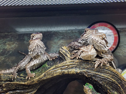 Pet Supply Store «Petco Animal Supplies», reviews and photos, 29560 W Seven Mile Rd, Livonia, MI 48152, USA