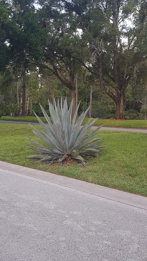 Golf Club «Summertree Golf Club», reviews and photos, 11816 Paradise Point Way, New Port Richey, FL 34654, USA