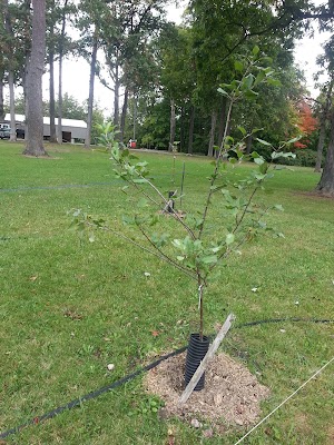 Mansfield Parks Department - photo 88