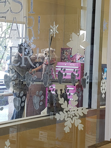 Pet Supply Store «Petco Animal Supplies», reviews and photos, 26209 104th Ave SE, Kent, WA 98030, USA