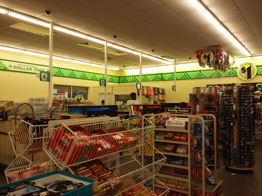 Dollar Store «Dollar Tree», reviews and photos, 13120 US-301 #133, Riverview, FL 33578, USA