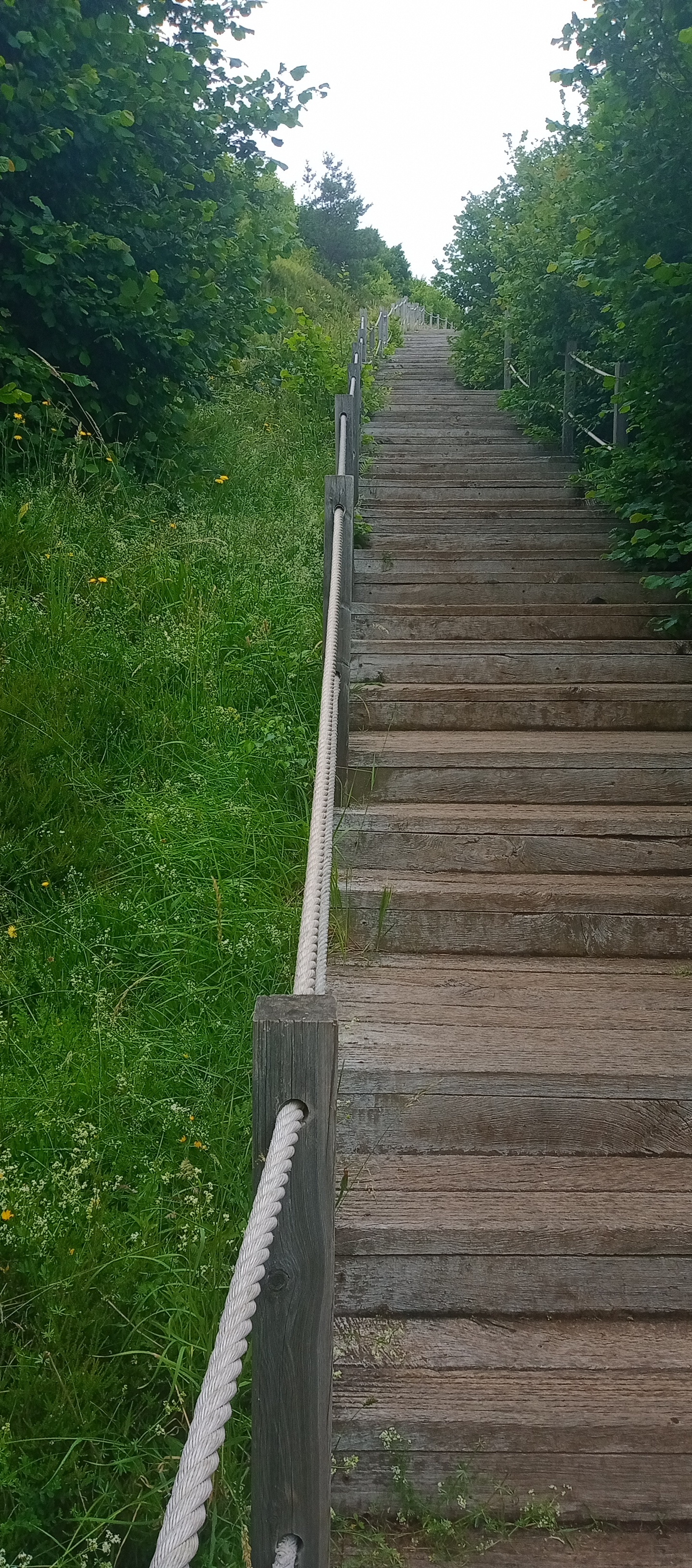 Photo n° 5 de l'avis de Philippe.a fait le 24/07/2023 à 22:42