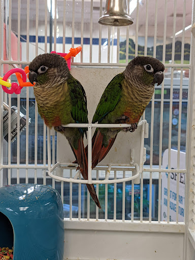 Pet Supply Store «Petco Animal Supplies», reviews and photos, 9230 Old Keene Mill Rd b, Burke, VA 22015, USA