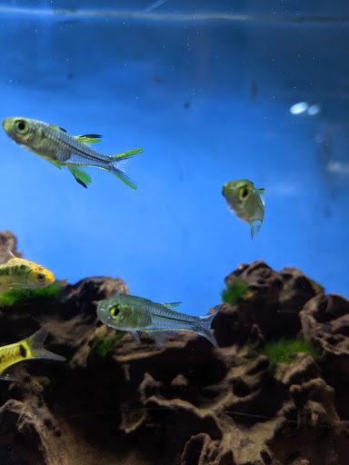 Pet Store «Fish 4 U», reviews and photos, 4010 Highland Dr #1, Millcreek, UT 84124, USA