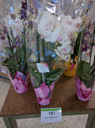 Supermarket «Publix Super Market at Midway Shopping Center», reviews and photos, 4900 Atlanta Hwy, Alpharetta, GA 30004, USA