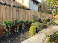 Davis Landscaping and Gardening - Photo 7 - Car repair in , Stockton