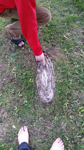 Park «Obear Park», reviews and photos, 145 Livingstone Ave, Beverly, MA 01915, USA