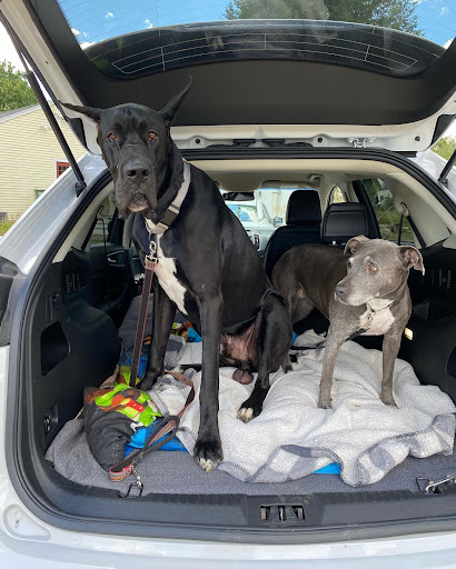 Used Car Dealer «Nashua Used Car Superstore», reviews and photos, 635 Amherst St, Nashua, NH 03063, USA