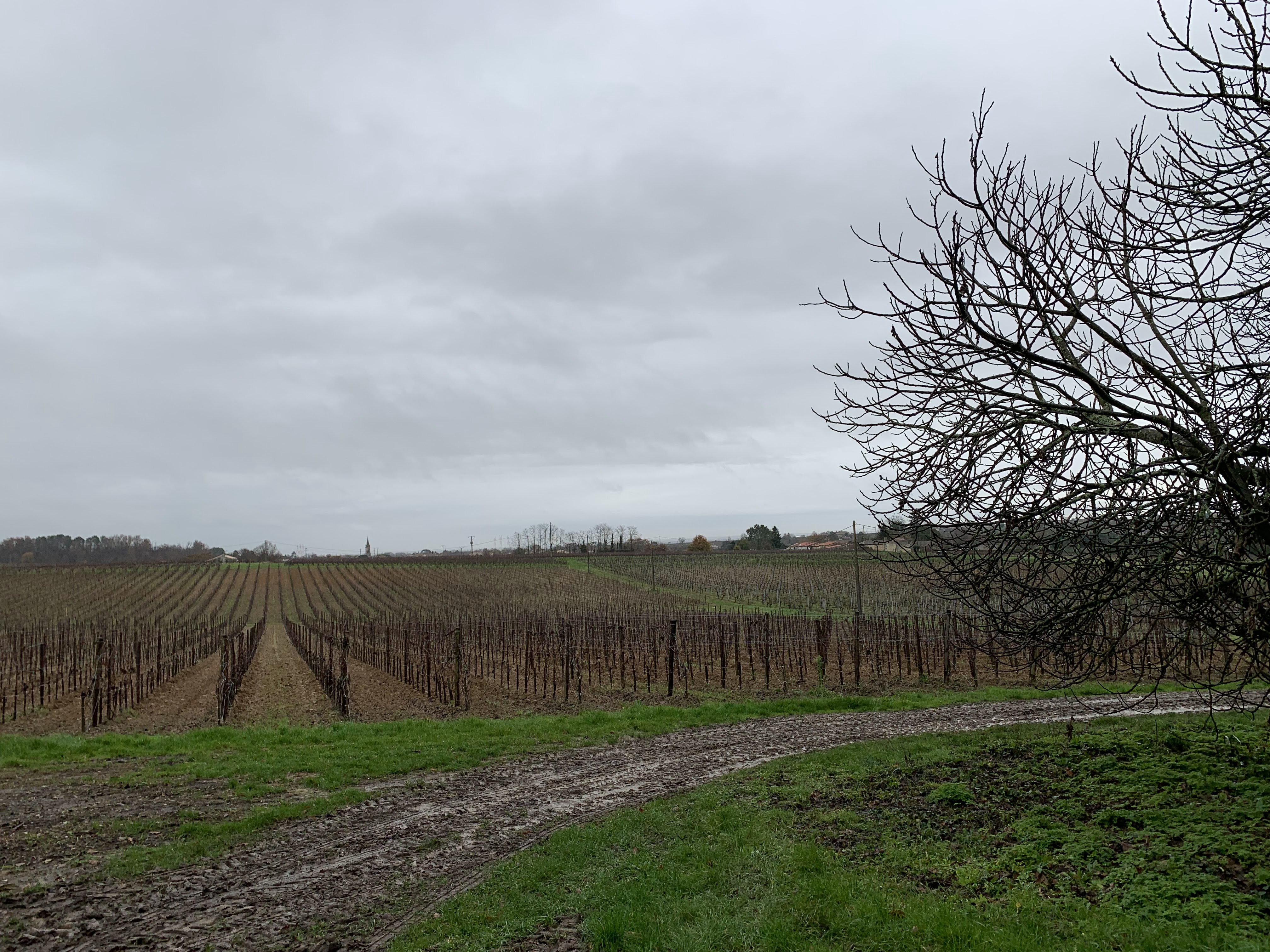 Photo n° 1 de l'avis de Jason.o fait le 21/12/2018 à 10:52