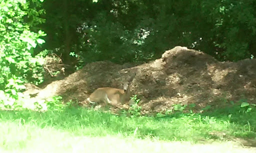 Golf Course «Bunker Hill Golf Course», reviews and photos, 2200 Bunker Hill Rd, Dubuque, IA 52001, USA