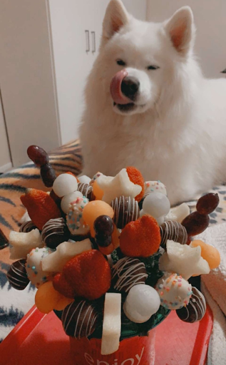 Gift Shop «Edible Arrangements», reviews and photos, 462 Rahway Ave, Woodbridge, NJ 07095, USA