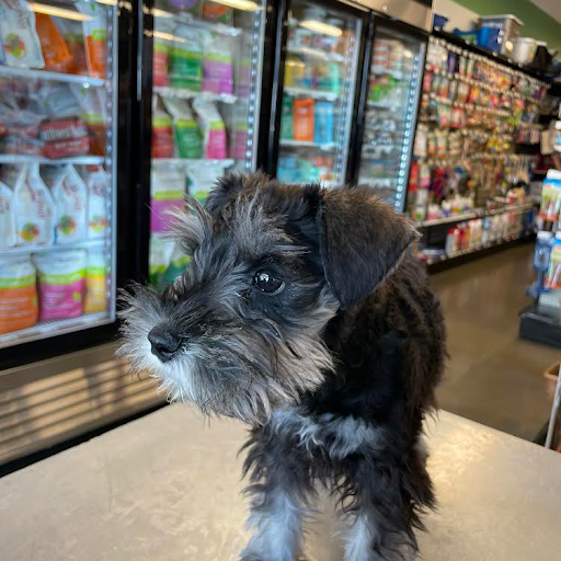 Pet Store «Choice Pet Market», reviews and photos, 4719 N 20th St A30, Phoenix, AZ 85016, USA