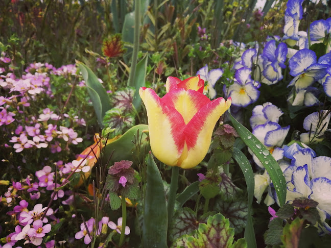 Self Service Bauernladen - Supermarkt