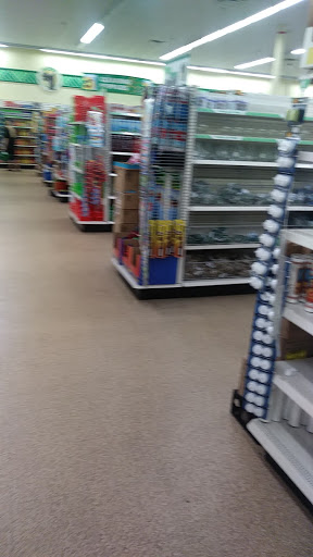 Dollar Store «Dollar Tree», reviews and photos, 1442 FL-436 #1052, Casselberry, FL 32707, USA