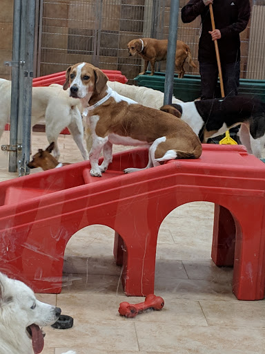 Pet Supply Store «PetSmart», reviews and photos, 13866 Metrotech Dr, Chantilly, VA 20151, USA