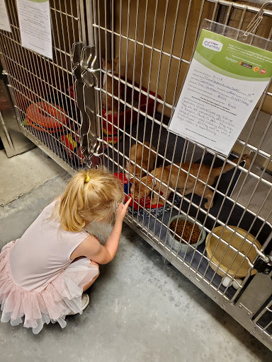 Pet Supply Store «PetSmart», reviews and photos, 842 Dawsonville Hwy, Gainesville, GA 30501, USA