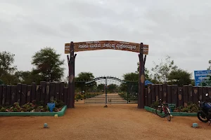 Saalumarada timmakka park image