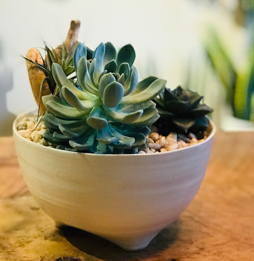 Flower Designer «Bloom Couture Floral Studio», reviews and photos, 769 Tremont St, Boston, MA 02118, USA