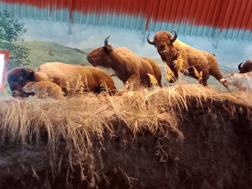 Sporting Goods Store «Bass Pro Shops», reviews and photos, 1000 Bass Pro Dr NW, Altoona, IA 50009, USA