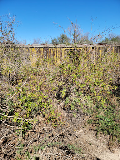 Tijuana River County Open Space Preserve