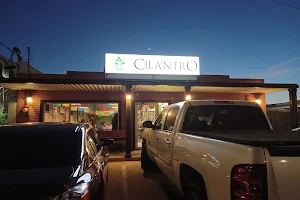Cilantro Mexican Restaurant image