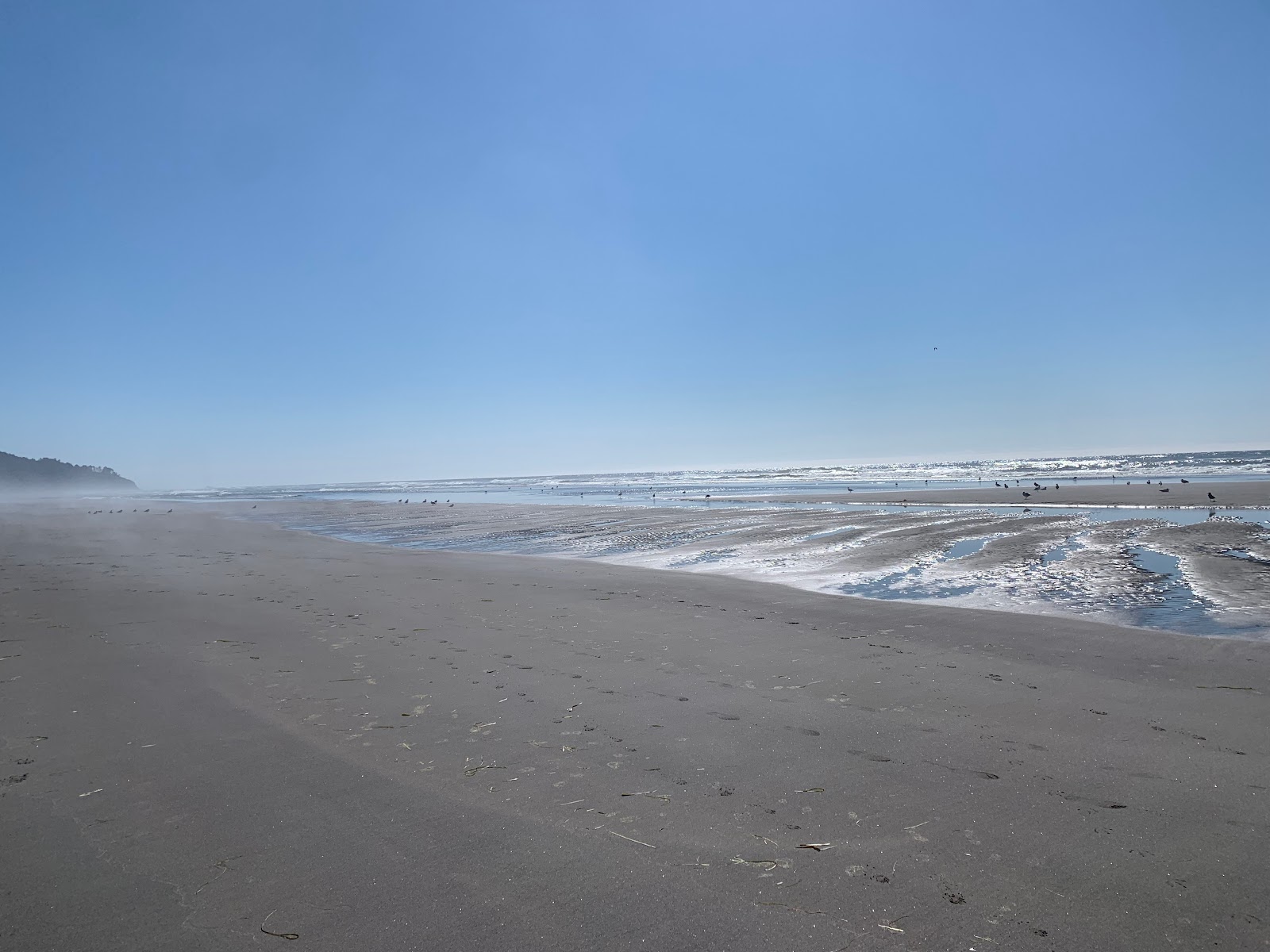 Foto von Long Beach befindet sich in natürlicher umgebung