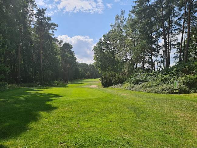 Golfclub Herzogstadt Celle e.V. - Riehen