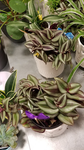 Supermarket «Publix Super Market at Wilshire Pavillion», reviews and photos, 1200 Hwy 74 S #20, Peachtree City, GA 30269, USA