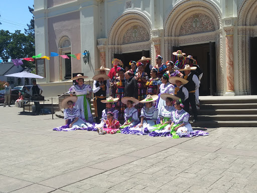 Saint Vincent de Paul Roman Catholic Church image