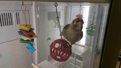 Pet Supply Store «Petco Animal Supplies», reviews and photos, 205 Palm Bay Rd NE #155, West Melbourne, FL 32904, USA