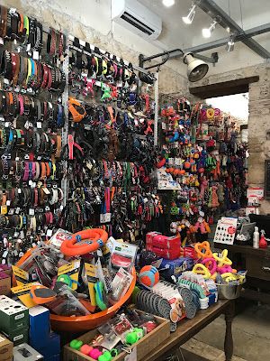 DSA 13 à Marseille