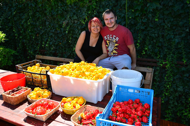 Hozzászólások és értékelések az Beszósz Manufaktúra-ról