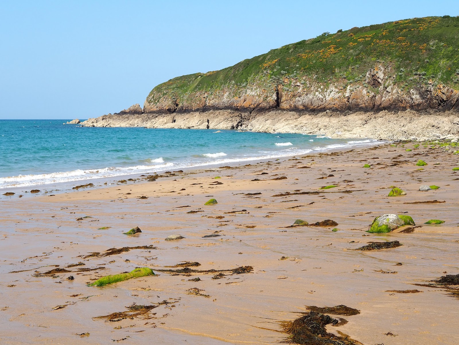 Plage de la Pissotte photo #8