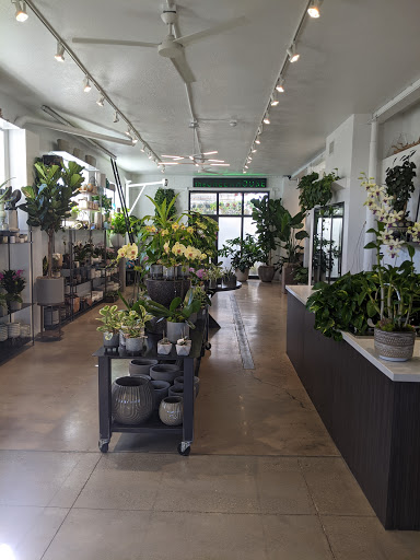 Orchid Grower «Orchid Dynasty», reviews and photos, 959 900 S, Salt Lake City, UT 84105, USA