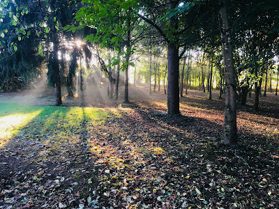 INNOV' JARDIN paysagiste charente Angoulême à Mouthiers-sur-Boëme