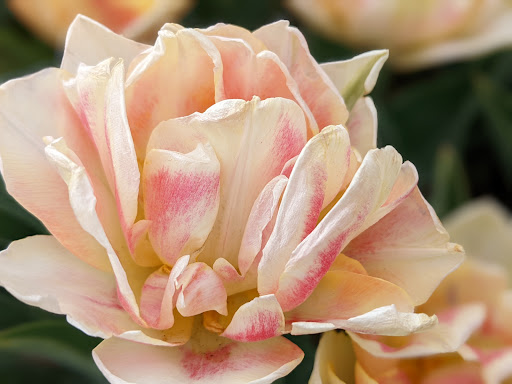 Botanical Garden «Ashton Gardens at Thanksgiving Point», reviews and photos, 3900 Garden Dr, Lehi, UT 84043, USA