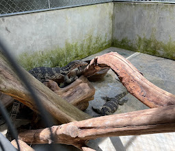 Samui Snake Farm photo