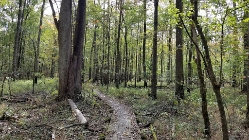 Nature Preserve «Beanblossom Bottoms Nature Preserve - Sycamore Land Trust», reviews and photos, N Woodall Rd, Ellettsville, IN 47429, USA