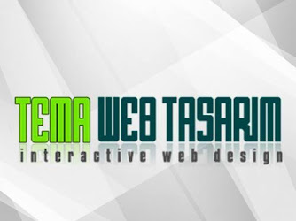 Tema Web Tasarım | Web Site, Hosting, Domain ve Seo Hizmetleri