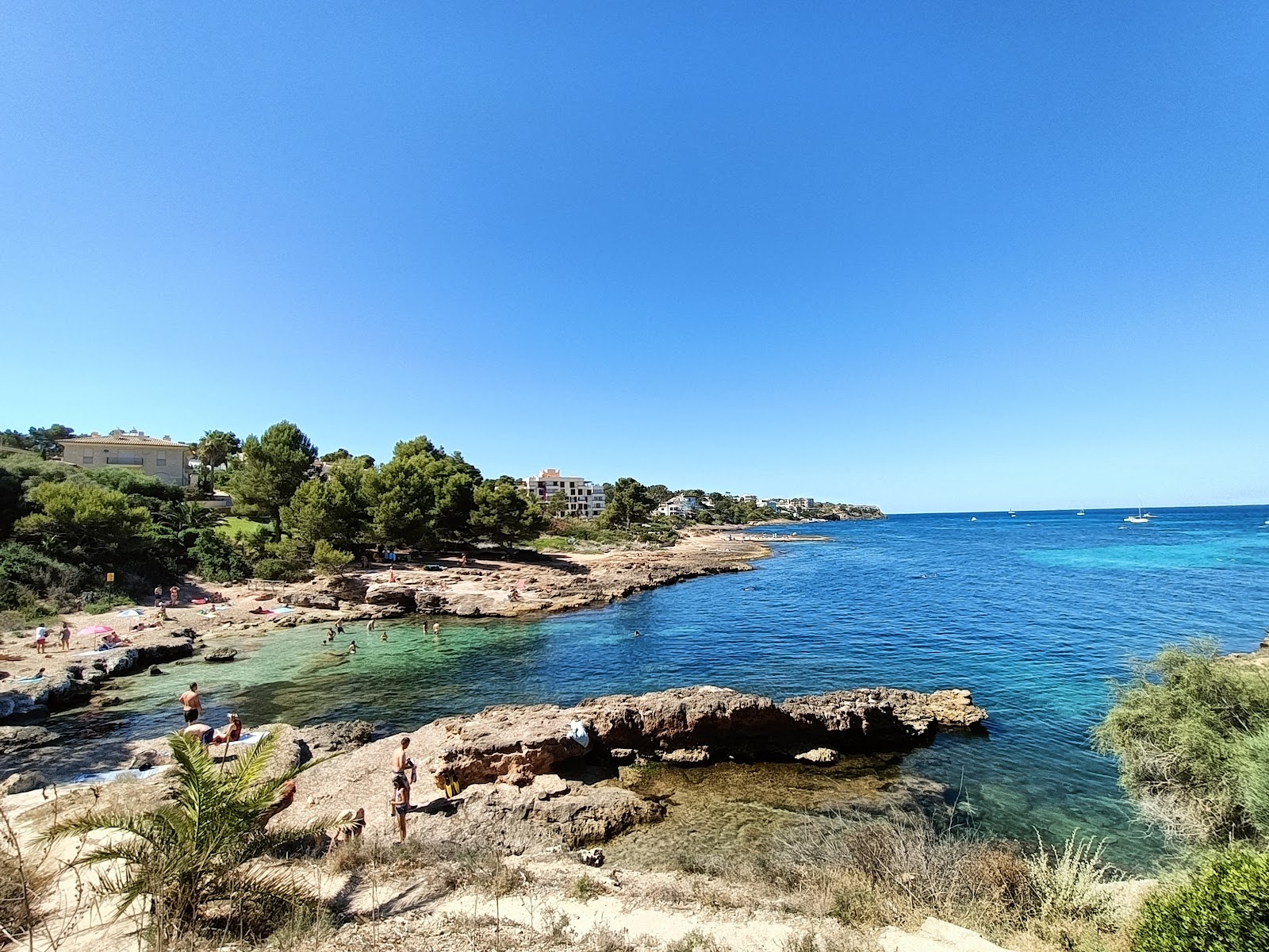 Foto av Cala Mosques med hög nivå av renlighet