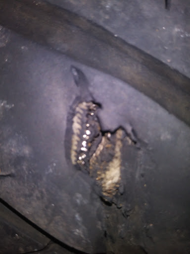 Tire Shop «Creamery Tire», reviews and photos, 4123 Creamery Rd, Creamery, PA 19430, USA