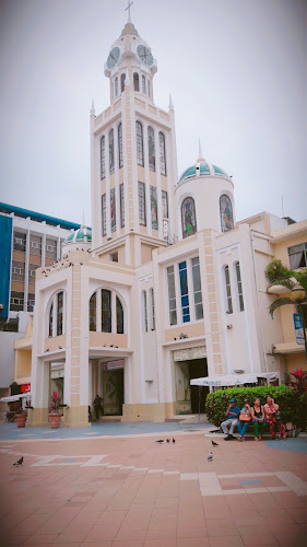 Obsa Oro Banana - Laboratorio