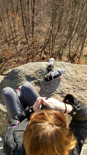 Nature Preserve «Wolf Rock Nature Preserve», reviews and photos, 251 Clover Mill Rd, Storrs, CT 06268, USA